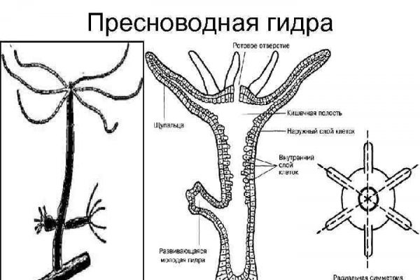 Блэк спрут как зайти blacksprut adress com