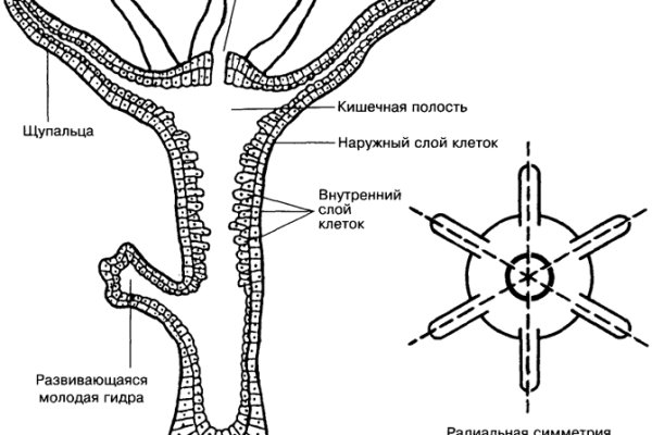 Блэкспрут blacksprut